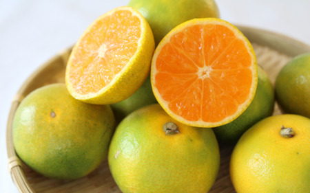 【2026年秋・発送分！】 ゆら早生 ご家庭用 みかん 約2kg 早生 サイズ混合【nuk143D】 