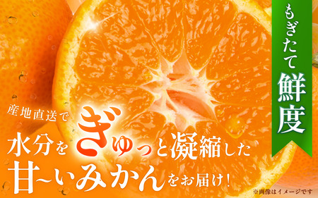 訳あり　有田みかん 約7.5kg  サイズ混合 ※2025年11月中旬より順次発送予定（お届け日指定不可）※北海道・沖縄・離島への配送不可 【nuk157C】 