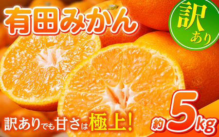 【訳あり】有田みかん 約5kg サイズ混合 ※2025年11月中旬より順次発送予定(お届け日指定不可)※北海道・沖縄・離島への配送不可 【nuk161E】
