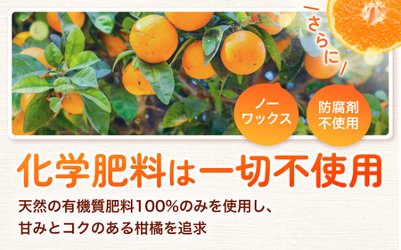 【訳あり】有田みかん 約5kg サイズ混合 ※2025年11月中旬より順次発送予定(お届け日指定不可)※北海道・沖縄・離島への配送不可 【nuk161E】