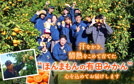 【訳あり】有田みかん 約5kg サイズ混合 ※2025年11月中旬より順次発送予定(お届け日指定不可)※北海道・沖縄・離島への配送不可 【nuk161E】