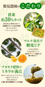 【ふるなびWEEK対象】 ゆらみかん4.5kg ※2025年12月10日～25日発送予定 ※沖縄・離島配送不可 FN-Limited-PR【kzmn018-fw】