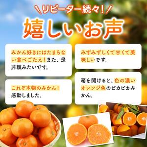 【ふるなびWEEK対象】 ゆらみかん4.5kg ※2025年12月10日～25日発送予定 ※沖縄・離島配送不可 FN-Limited-PR【kzmn018-fw】