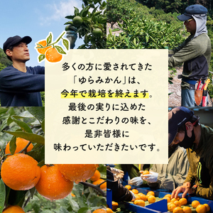 ゆらみかん 2kg ※2025年12月10日～25日発送予定 【kzmn019】
