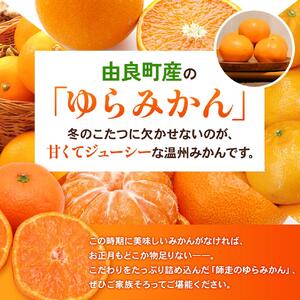 ゆらみかん 2kg ※2025年12月10日～25日発送予定 【kzmn019】