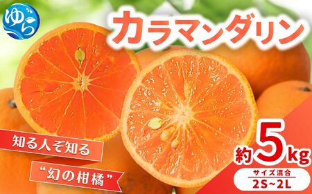 【来シーズン 先行予約】カラマンダリン 約5kg ※2026年3月下旬～順次発送 農家直送 / みかん みかん 和歌山 柑橘 晩柑【nktn026】