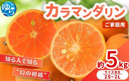 【来シーズン 先行予約】≪家庭用≫カラマンダリン 約5kg ※2026年3月下旬~順次発送 農家直送 / みかん みかん 和歌山 柑橘 晩柑【nktn029】
