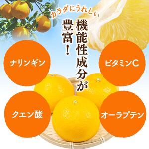 八朔 （はっさく） 1kg+250g（傷み補償分）※2026年1月上旬～順次発送予定 【ikd220】