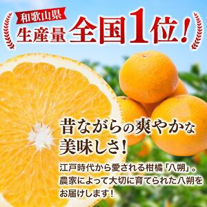 八朔 （はっさく）2.5kg+250g（傷み補償分）※2026年1月上旬～順次発送予定 【ikd138A】