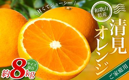 【家庭用】 森本農園の手選別 清見オレンジ 約8kg 和歌山県産 サイズ混合 ※2026年2月上旬～5月中旬頃順次発送 / きよみ 清見 柑橘 ご家庭用 期間限定 由良町 果物 フルーツ 和歌山県【mrmt048】