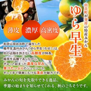 【2026年秋・発送分!】ゆら早生 みかん 4.5kg ※2025年10月中旬~順次発送 ※沖縄・離島配送不可【kzmn005】