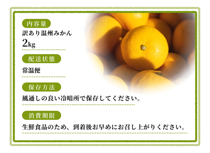 【訳あり】 森本農園の手選別 みかん 約2kg 和歌山県産 2S~2Lサイズ混合 【2025年11月上旬～2026年2月中旬ごろに順次発送】【mrmt008】