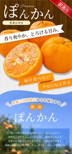 【訳あり】 森本農園の手選別 ポンカン約2kg 和歌山県産 サイズ混合 【2026年1月上旬～2月上旬頃に順次発送】【mrmt013】