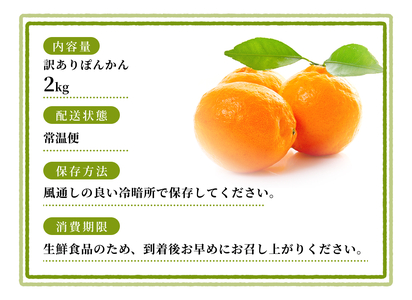 【訳あり】 森本農園の手選別 ポンカン約2kg 和歌山県産 サイズ混合 【2026年1月上旬～2月上旬頃に順次発送】【mrmt013】