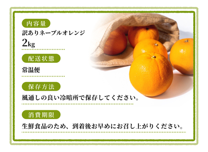 【訳あり】 森本農園の手選別 ネーブルオレンジ 約2kg 和歌山県産 サイズ混合 【2026年1月上旬~2月中旬頃に順次発送】【mrmt018】