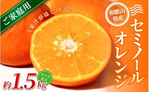 【家庭用】 森本農園の手選別 セミノールオレンジ 約1.5kg 和歌山県産 サイズ混合 【2026年4月中旬～5月中旬頃に順次発送】【mrmt026】