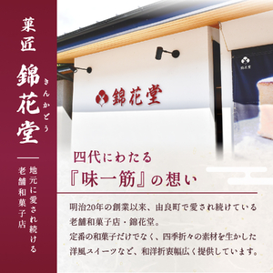 天狗力餅10個入　和菓子【knkd005】