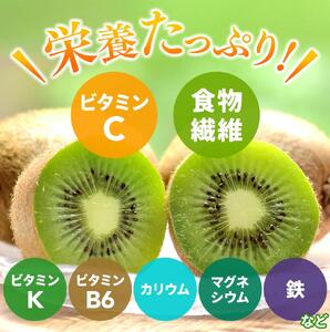 ＜11月より発送＞厳選 キウイフルーツ0.5kg+250g（傷み補償分）【扁平果】【ikd038D】