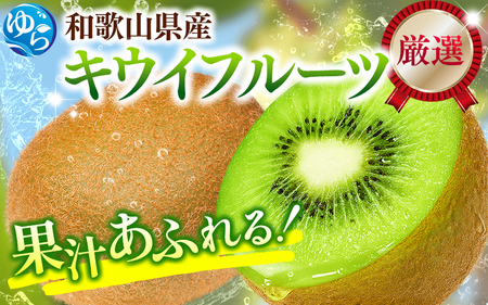 ＜11月より発送＞厳選 キウイフルーツ1kg+250g（傷み補償分）【扁平果】【ikd036D】