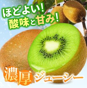 ＜11月より発送＞家庭用 キウイフルーツ1kg+250g（傷み補償分）【訳あり・扁平果】【ikd037D】