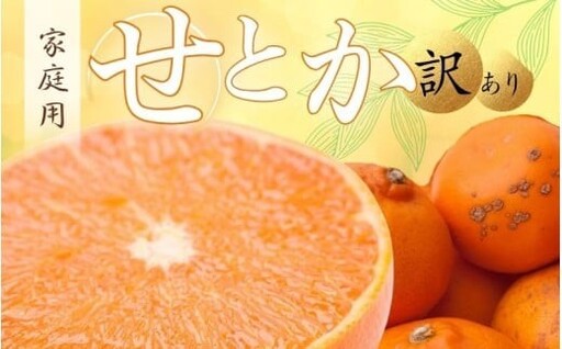 ＜2月より発送＞家庭用 せとか1 kg+250g（傷み補償分）【2026年2月中旬より発送】【ikd126D】