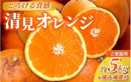 ＜2026年2月より発送＞家庭用 清見オレンジ 5kg+250g（傷み補償分）【光センサー食頃出荷】【樹上完熟きよみオレンジ・清見タンゴール・清美】【わけあり・訳あり】 / オレンジ 清見 おれんじ みかん 柑橘 有田 産地直送 くだもの 果物 フルーツ 柑橘類 和歌山 由良町【ikd166C】 6,840円