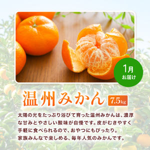 みかん定期便 計23.5kg 訳あり 柑橘【tkb113】