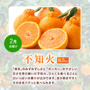 みかん定期便 計23.5kg 訳あり 柑橘【tkb113】