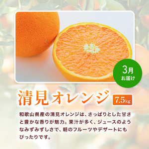 みかん定期便 計23.5kg 訳あり 柑橘【tkb113】