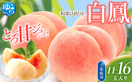 桃 訳あり 白鳳 和歌山県産 11～16玉入り※2026年6月下旬～発送【mtgn046B】