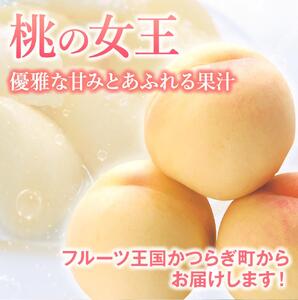 桃 和歌山県産 清水白桃 5～8玉入り 秀品※2026年7月中旬～発送【mtgn065A】
