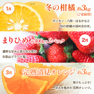 わかやま旬の くだもの 定期便 全12回【S】※北海道・沖縄・離島への配送不可 (配送日時指定不可)【ard-tkb901A】