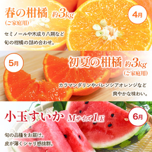 わかやま旬の くだもの 定期便 全12回【S】※北海道・沖縄・離島への配送不可 (配送日時指定不可)【ard-tkb901A】