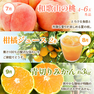 わかやま旬の くだもの 定期便 全12回【S】※北海道・沖縄・離島への配送不可 (配送日時指定不可)【ard-tkb901A】