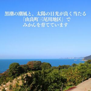 訳あり ゆら みかん (温州みかん) 5kg【fmlb089-1】 