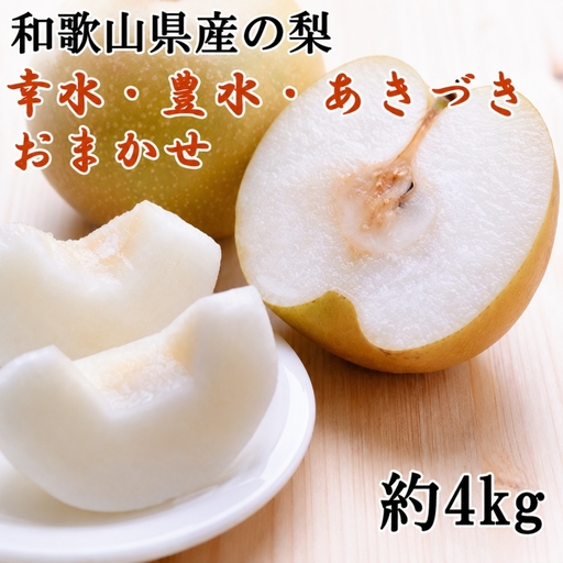 和歌山県産の梨約4kg(品種おまかせ)★2026年8月下旬頃より順次発送【TM181】【tec966B】