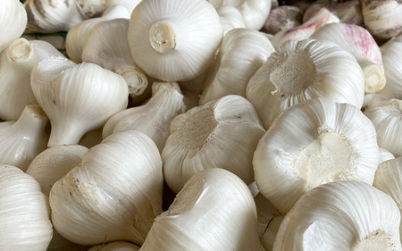 秀品 由良の生にんにく 1.5kg※2026年4月下旬より順次発送【ksnw005】