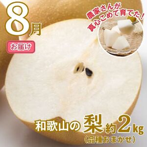 フルーツ定期便 全3回 和歌山の夏の人気フルーツ/ 桃・梨・シャインマスカット【tkb429】