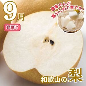 【全2回】かつらぎ町のフルーツ定期便ミニ(桃・梨)【8月・9月】【tkb427】