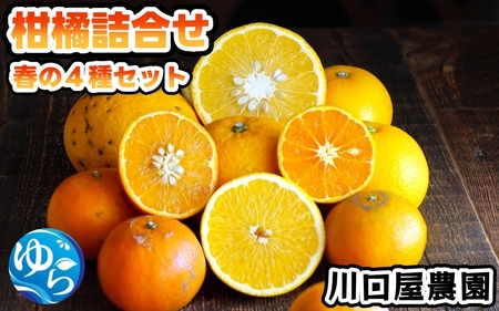 柑橘詰め合わせ4種【kwgc049-c-7d5】