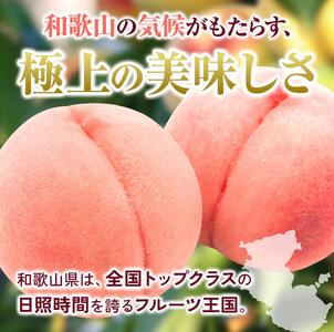 桃 秀品 和歌山の桃 約4kg ※2026年6月下旬~8月上旬頃順次発送【tec911B】
