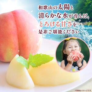 桃 秀品 和歌山の桃 約4kg ※2026年6月下旬~8月上旬頃順次発送【tec911B】