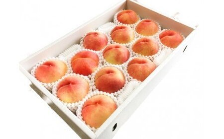 秀品　紀州和歌山産の　桃　約4kg　化粧箱入【2026年6月下旬より順次発送】【UT106】【uot723A】