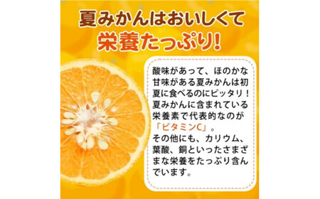 夏みかん 7.2kg【2025年4月下旬頃発送】【先行予約】【UT73】【uot775】