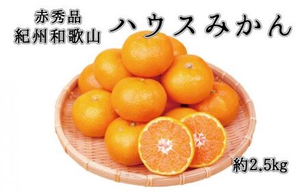 赤秀品 紀州和歌山ハウスみかん 2.5kg【2026年6月下旬頃～7月下旬頃に順次発送】【UT87】【uot735A】