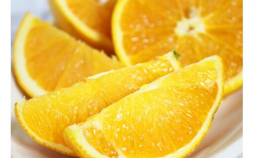秀品 希少な国産バレンシアオレンジ 5kg【2026年6月下旬頃～7月上旬頃に順次発送】【UT76】【uot858】