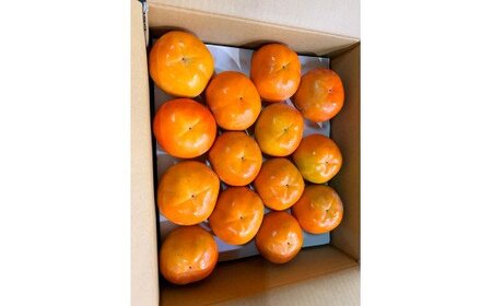 和歌山秋の味覚　富有柿　約４ｋｇ化粧箱入「2026年11月上旬頃～2026年12月上旬頃に順次発送予定」【UT50】【uot703】