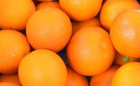 【希少・高級柑橘】国産濃厚ブラッドオレンジ「タロッコ種」約5kg★2025年4月頃より順次発送予定【TM149】