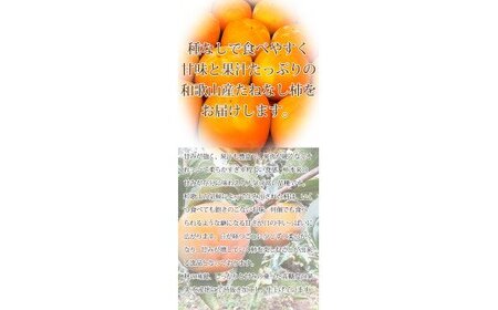 【2026年発送】【ご家庭用】平核無柿（ひらたねなしがき）約３.５kg 和歌山秋の味覚【UT31】【uot740】