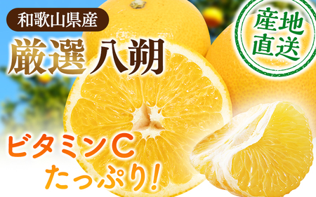 八朔 はっさく 5kg+250g（傷み補償分）【ikd221】
